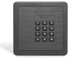 雙門門禁控制器